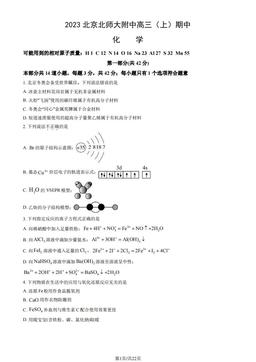 2023北京北师大附中高三（上）期中化学（教师版）-答案