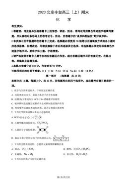 2023北京丰台高三（上）期末化学（教师版）-答案