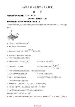 2023北京大兴高三（上）期末化学（教师版）-答案
