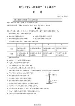 2025北京人大附中高三（上）统练二化学（教师版）-答案