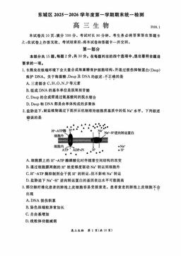 2026北京东城高三（上）期末生物-答案