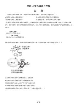 2022北京西城高三二模生物（教师版）-答案