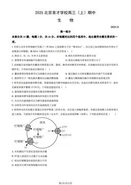 2025北京育才学校高三（上）期中生物（教师版）-答案