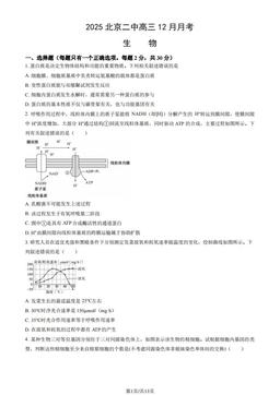2025北京二中高三12月月考生物（教师版）-答案