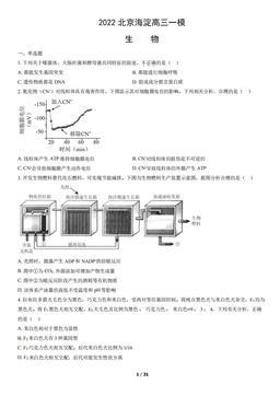 2022北京海淀高三一模生物（教师版）-答案