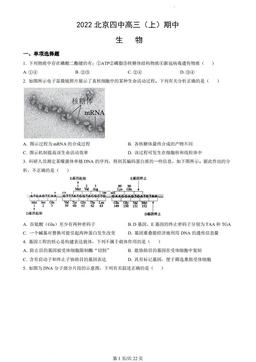 2022北京四中高三（上）期中生物（教师版）-答案