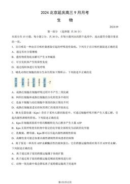 2024北京延庆高三9月月考生物（教师版）-答案