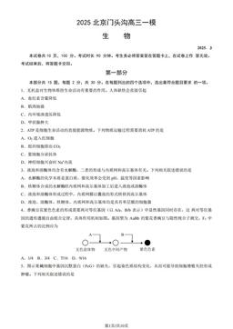 2025北京门头沟高三一模生物（教师版）-答案