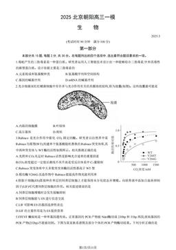 2025北京朝阳高三一模生物（教师版）-答案