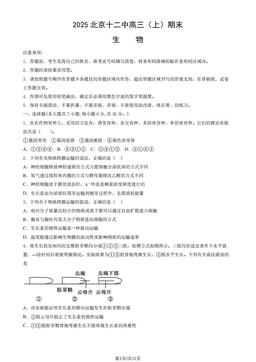 2025北京十二中高三（上）期末生物（教师版）-答案