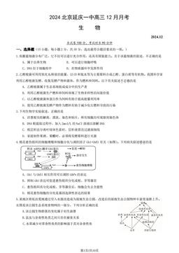 2024北京延庆一中高三12月月考生物（教师版）-答案