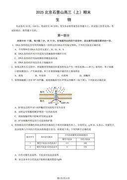 2025北京石景山高三（上）期末生物（教师版）-答案