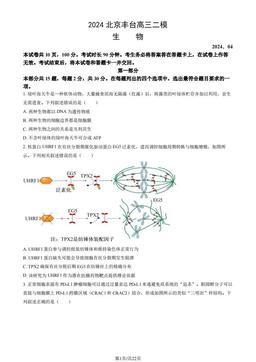 2024北京丰台高三二模生物（教师版）-答案
