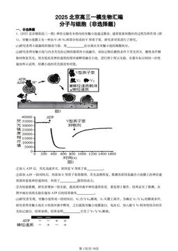 2025北京高三一模生物汇编：分子与细胞（非选择题）-答案