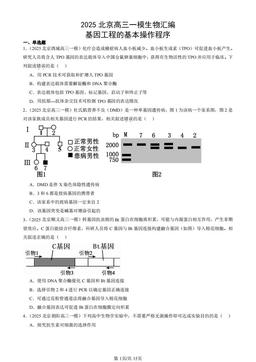 2025北京高三一模生物汇编：基因工程的基本操作程序-答案
