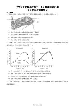 2024北京重点校高三（上）期中生物汇编：光合作用与能量转化-答案