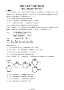 2025北京高三二模生物汇编：基因工程的基本操作程序-答案