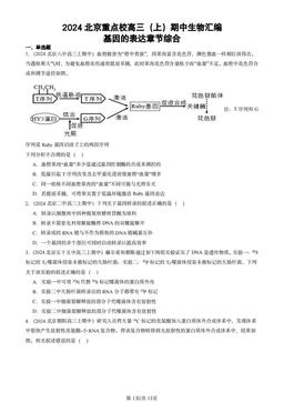 2024北京重点校高三（上）期中生物汇编：基因的表达章节综合-答案