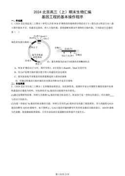 2024北京高三（上）期末生物汇编：基因工程的基本操作程序-答案