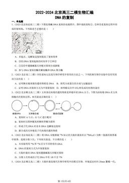 2022-2024北京高三二模生物汇编：DNA的复制-答案
