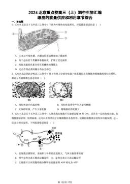 2024北京重点校高三（上）期中生物汇编：细胞的能量供应和利用章节综合-答案