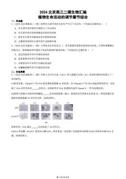 2024北京高三二模生物汇编：植物生命活动的调节章节综合-答案