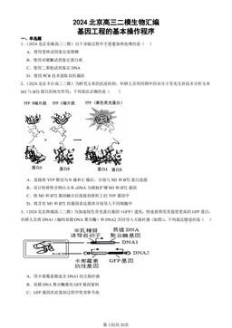 2024北京高三二模生物汇编：基因工程的基本操作程序-答案