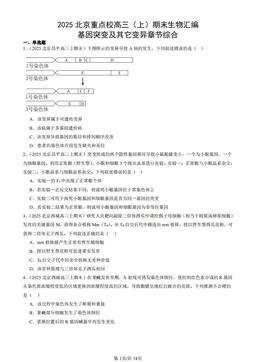 2025北京重点校高三（上）期末生物汇编：基因突变及其它变异章节综合-答案