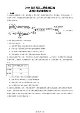 2024北京高三二模生物汇编：基因的表达章节综合-答案