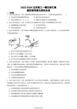 2022-2024北京高三一模生物汇编：基因指导蛋白质的合成-答案