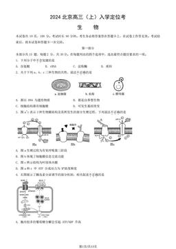2024北京高三（上）入学定位考生物（教师版）-答案