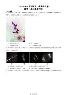 2022-2024北京高三二模生物汇编：减数分裂和受精作用-答案