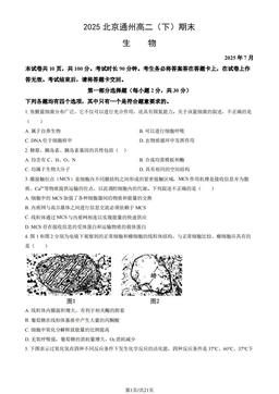 2025北京通州高二（下）期末生物（教师版）-答案