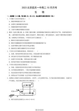 2023北京延庆一中高二10月月考生物（教师版）-答案