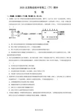 2025北京陈经纶中学高二（下）期中生物（教师版）-答案