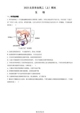 2023北京丰台高二（上）期末生物（教师版）-答案