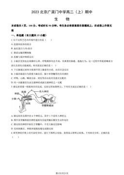 2023北京广渠门中学高二（上）期中生物（教师版）-答案