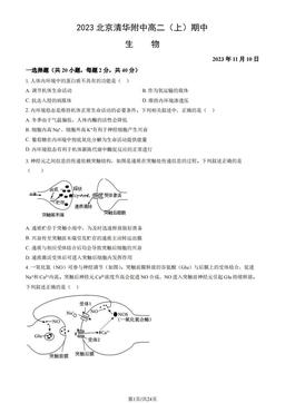 2023北京清华附中高二（上）期中生物（教师版）-答案