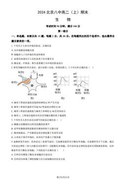 2024北京八中高二（上）期末生物（教师版）-答案