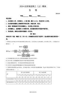 2024北京海淀高二（上）期末生物（教师版）-答案