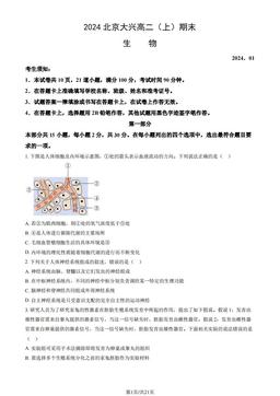 2024北京大兴高二（上）期末生物（教师版）-答案