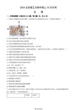 2024北京理工大附中高二10月月考生物（教师版）-答案