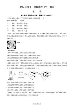 2024北京十一学校高二（下）期中生物（教师版）-答案