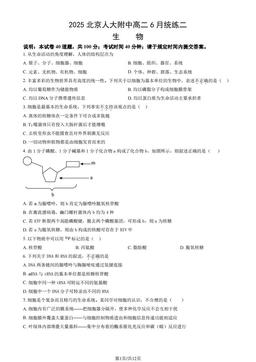2025北京人大附中高二6月统练二生物（教师版）-答案