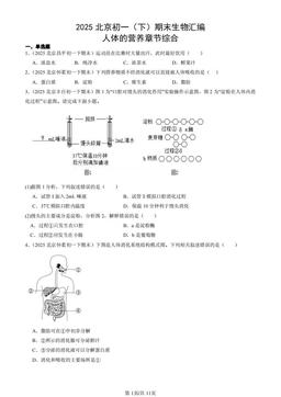 2025北京初一（下）期末生物汇编：人体的营养章节综合-答案