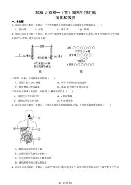 2025北京初一（下）期末生物汇编：消化和吸收-答案