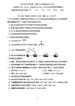 2025北京九中高三12月月考化学-试题