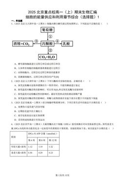 2025北京重点校高一（上）期末生物汇编：细胞的能量供应和利用章节综合（选择题）1-答案