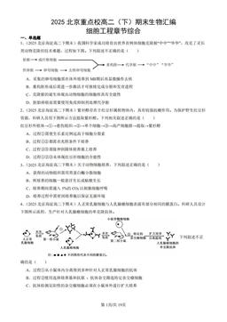 2025北京重点校高二（下）期末生物汇编：细胞工程章节综合-答案