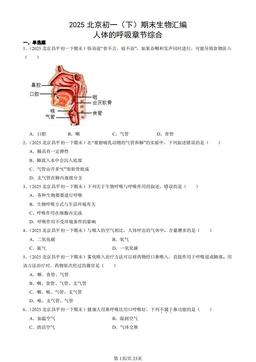2025北京初一（下）期末生物汇编：人体的呼吸章节综合-答案